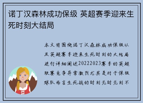 诺丁汉森林成功保级 英超赛季迎来生死时刻大结局