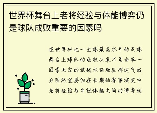 世界杯舞台上老将经验与体能博弈仍是球队成败重要的因素吗